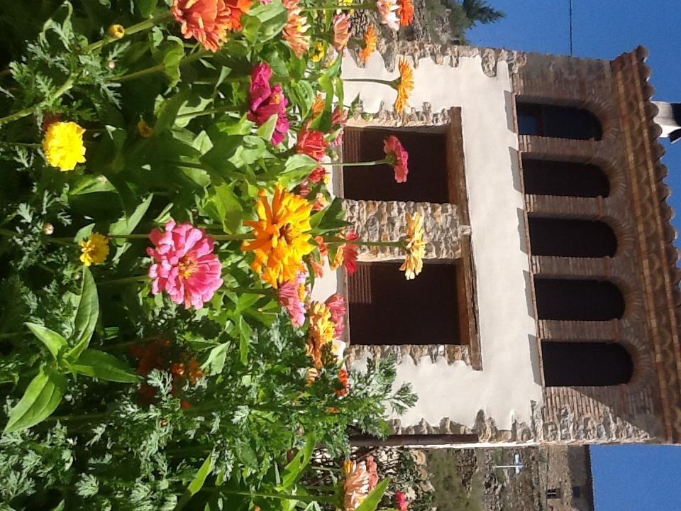 Casa Rural Caseta De L' Hort Villafranca del Cid Chambre photo